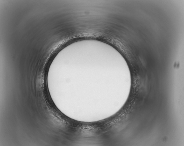 X0000096160632200801251128