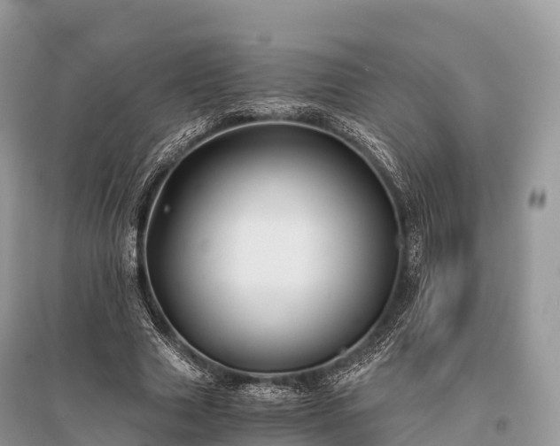 X0000096160633200801251128