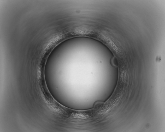 X0000096160635200801251128
