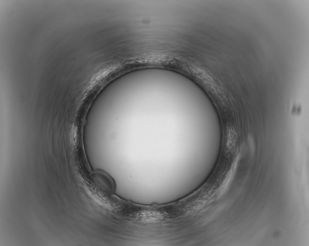 X0000096160636200801251128