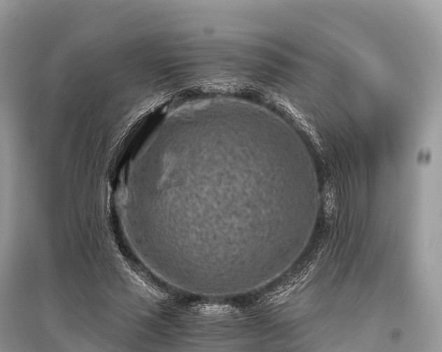 X0000096160637200801251128
