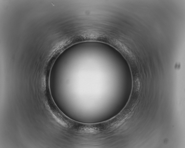 X0000096160638200801251128
