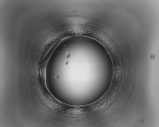 X0000096160639200801251128