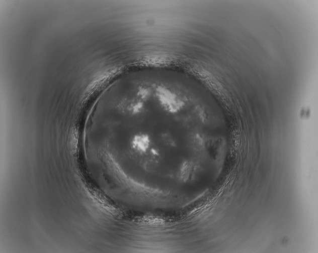 X0000096160640200801251128