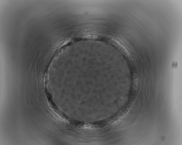X0000096160641200801251128