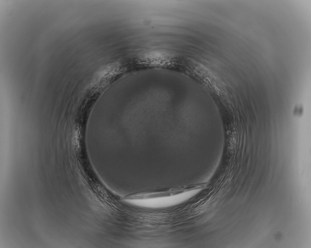 X0000096160643200801251128