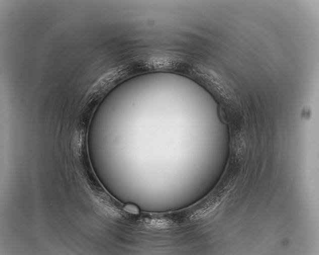 X0000096160645200801251128