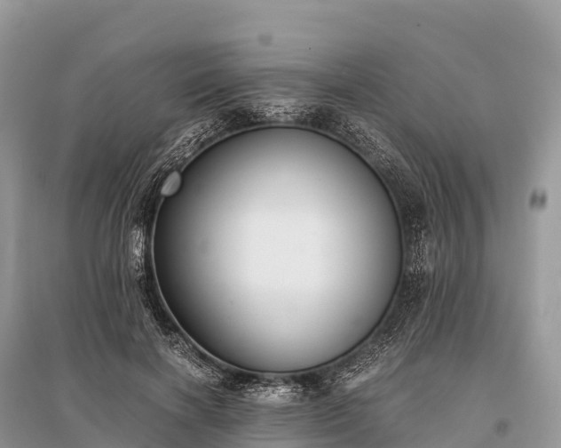 X0000096160646200801251128