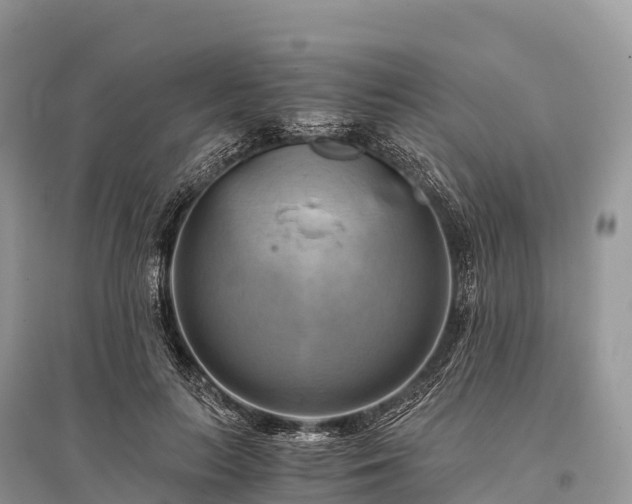 X0000096160647200801251128