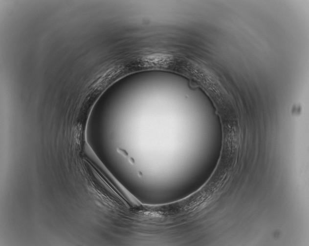 X0000096160649200801251128