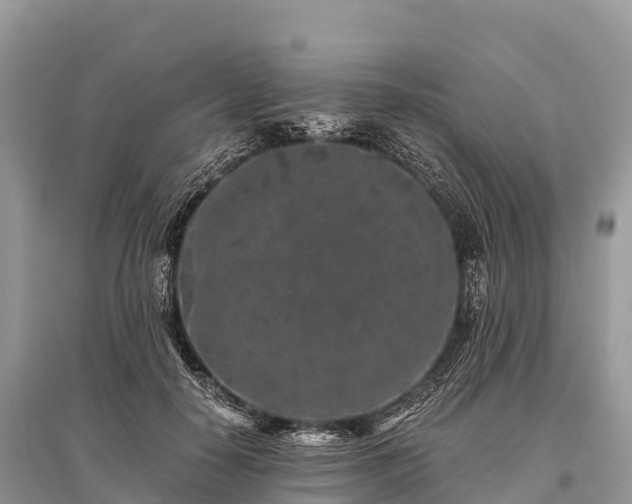 X0000096160650200801251128