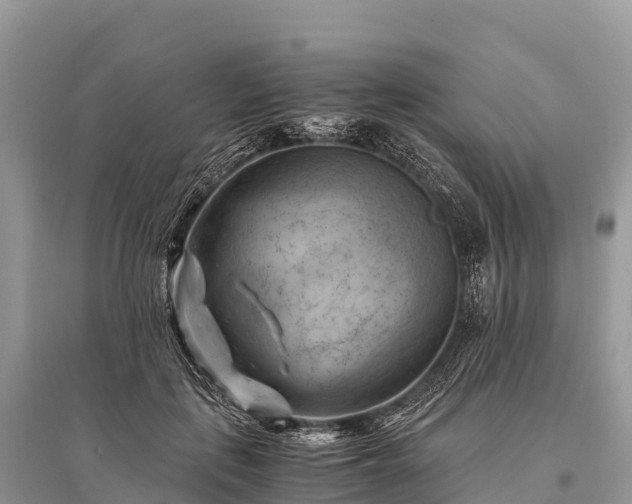 X0000096160651200801251128