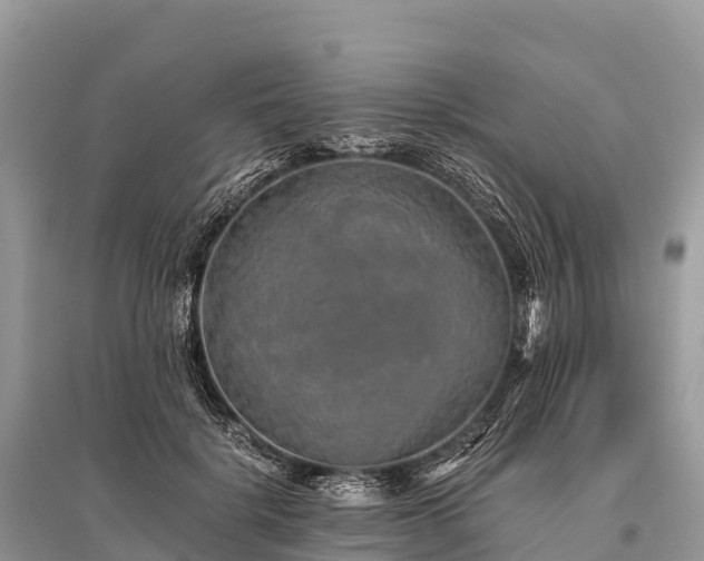 X0000096160652200801251128