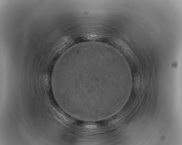 X0000096160653200801251128