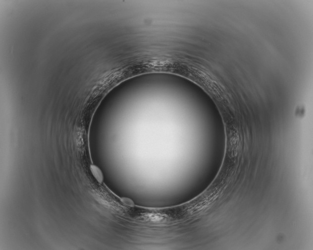 X0000096160654200801251128