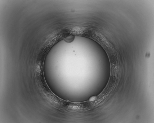 X0000096160655200801251128