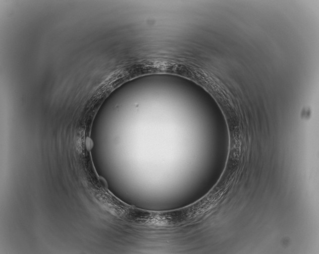 X0000096160656200801251128
