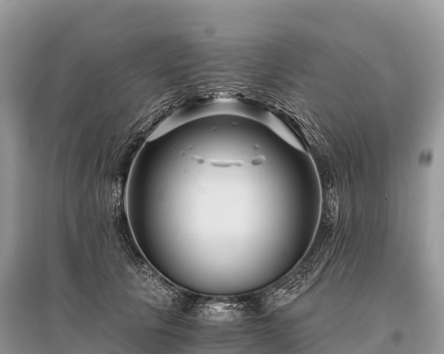 X0000096160657200801251128