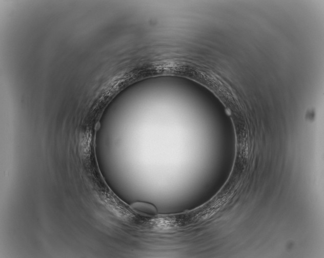 X0000096160660200801251128