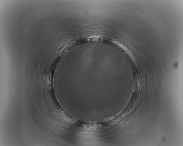 X0000096160661200801251128