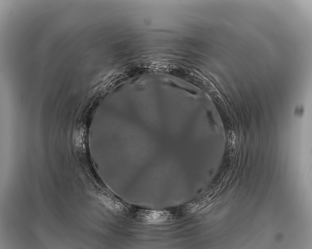 X0000096160663200801251129