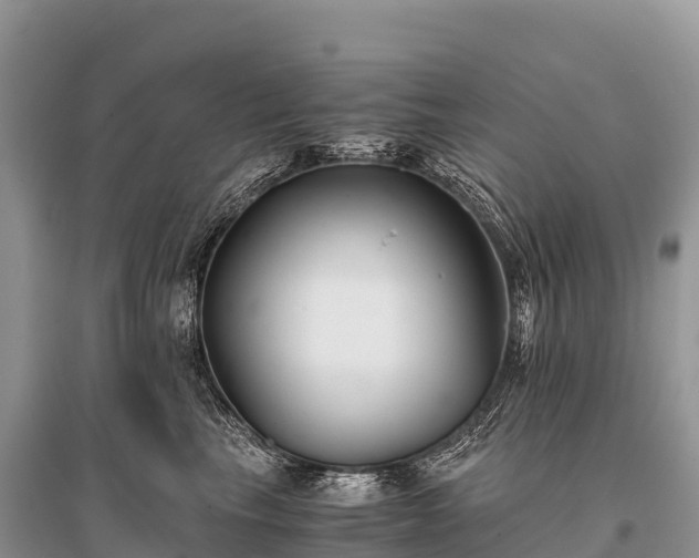 X0000096160665200801251129