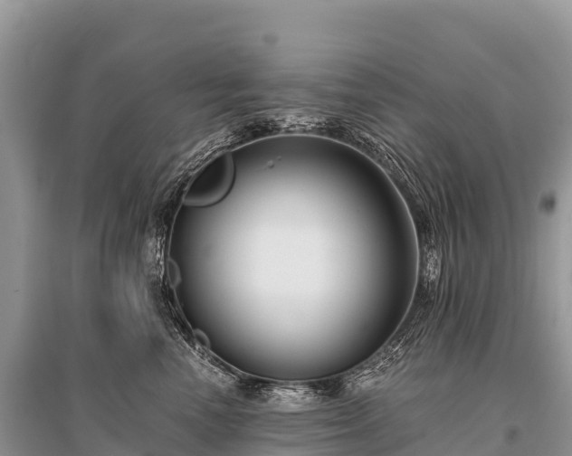 X0000096160666200801251129