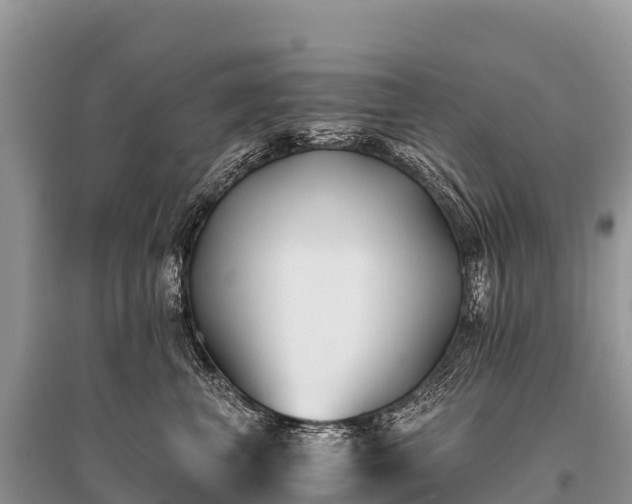 X0000096160667200801251129