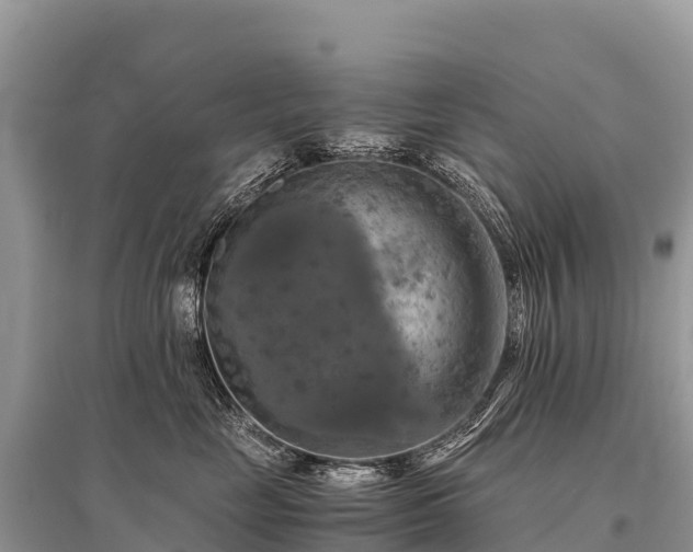 X0000096160669200801251129