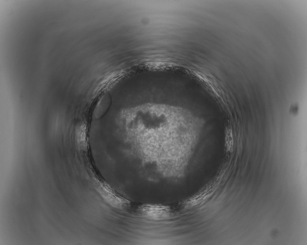 X0000096160670200801251129