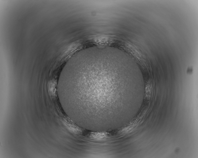 X0000096160671200801251129