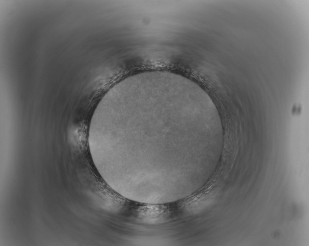 X0000096160672200801251129