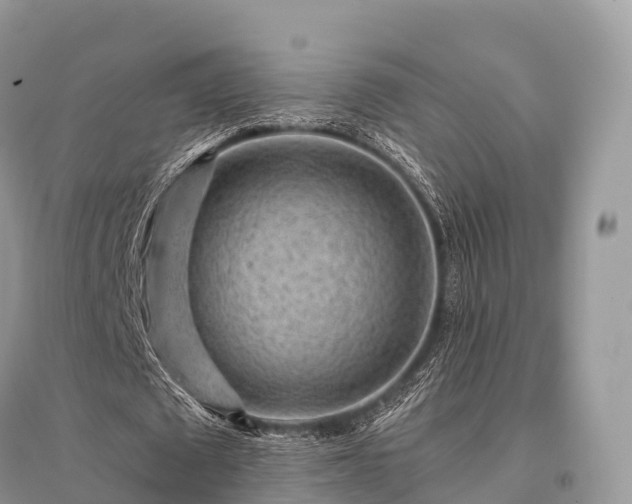 X0000096160673200801251128