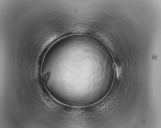 X0000096160675200801251128