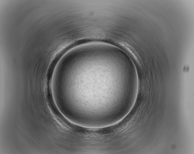 X0000096160677200801251128