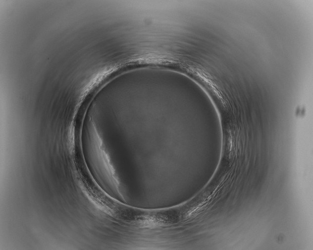 X0000096160678200801251128