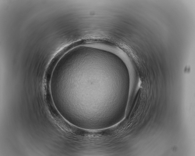 X0000096160680200801251128