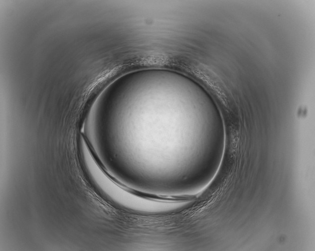 X0000096160681200801251128