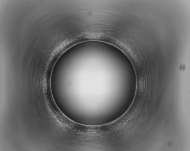 X0000096160682200801251128