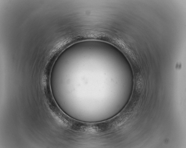 X0000096160683200801251128