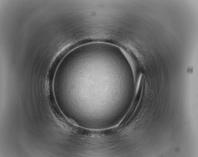 X0000096160684200801251127