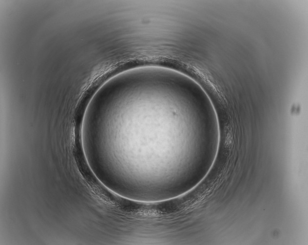 X0000096160685200801251127