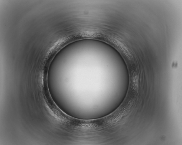 X0000096160686200801251127
