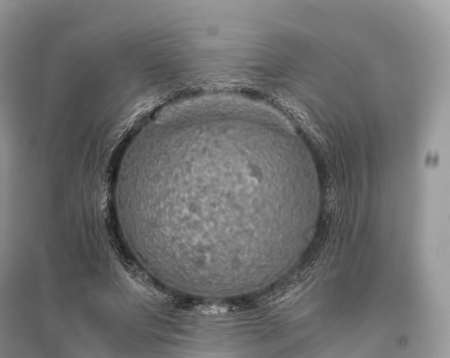 X0000096160687200801251127