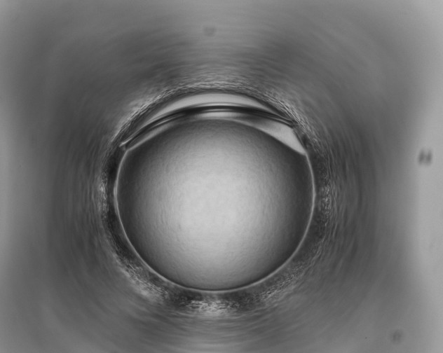 X0000096160688200801251127