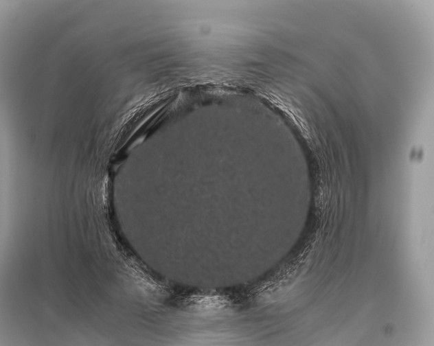 X0000096160689200801251127