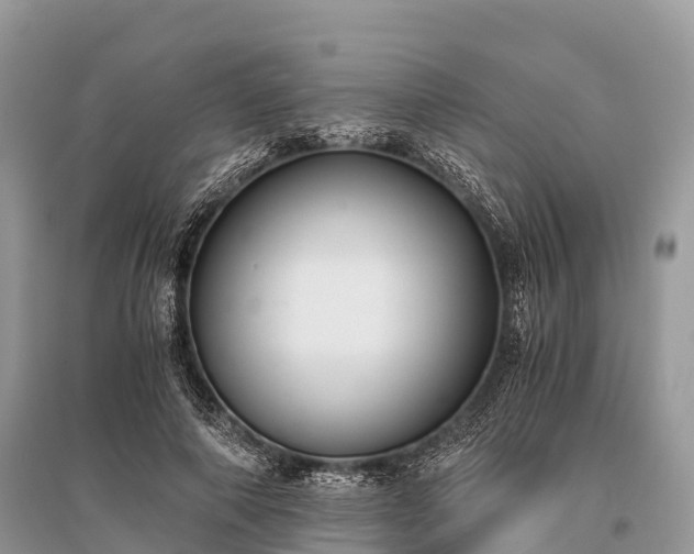 X0000096160690200801251127