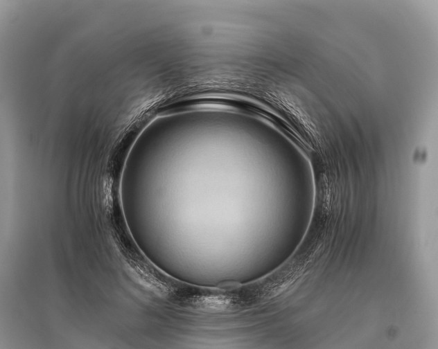 X0000096160692200801251127