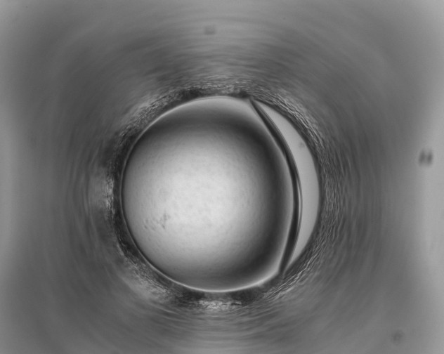X0000096160693200801251127
