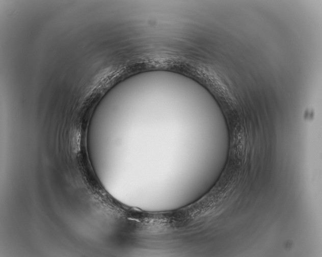 X0000096160694200801251127